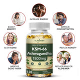 Ashwagandha Capsules Support Antioxidant Lipid-lowering Stress-relief Improve Sleep Enhance Immunity Increase Energy and Focus