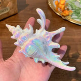 1pc seaside vacation style acrylic sea shell hair clip high-end feeling bun shark clip versatile temperament hair accessory