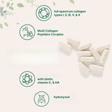 Multi Collagen Capsules 240ct Type I II III V X with Biotin Hyaluronic Acid Vitamin C Hydrolyzed Protein Supplement