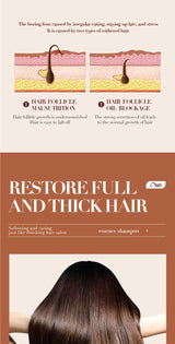 500ml Ginger Anti-Hair Loss Shampoo Long-lasting Fragrances Shampoo Deeply Moisturizing Smooth Set With Comb Gift