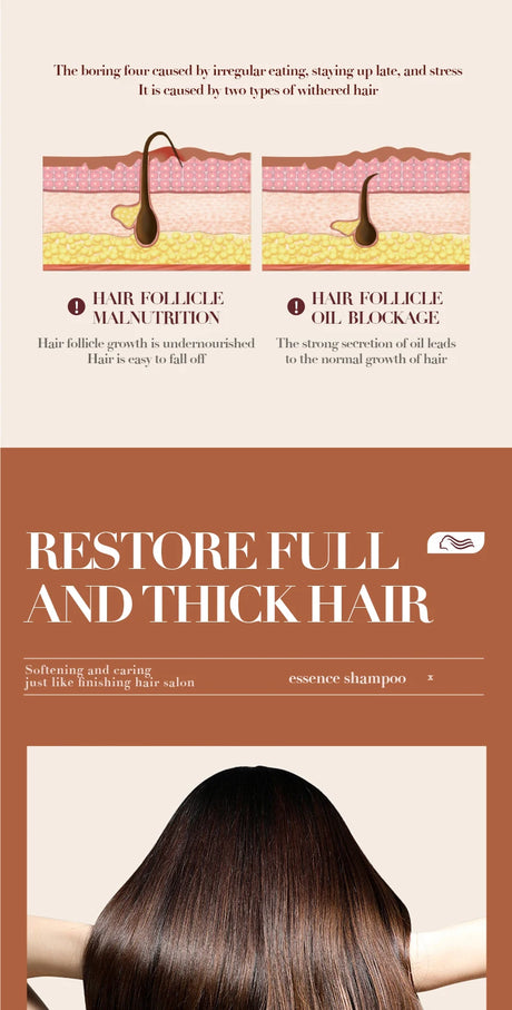 500ml Ginger Anti-Hair Loss Shampoo Long-lasting Fragrances Shampoo Deeply Moisturizing Smooth Set With Comb Gift
