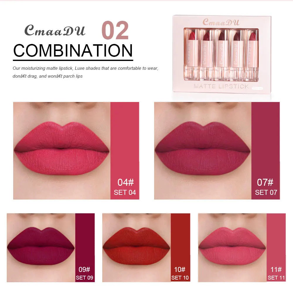 Velvet Matte Lipstick Set 5pcs Long Lasting Waterproof Red Nude Lipsticks Non Stick Cup Makeup Cosmetics Collection