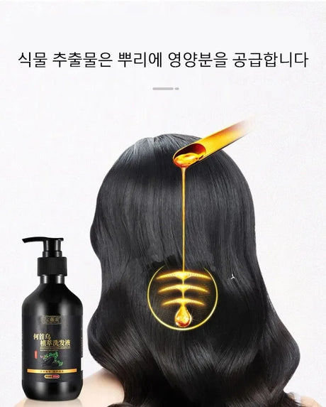 Herbal Polygonum Multiflorum Shampoo Oil Control, Dandruff Control, Itchy Relief Shampoo for Men and Women