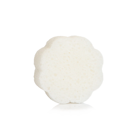Lily of the Valley | Daisy Spongette